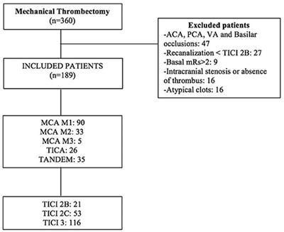 Fibrin-Platelet Clots in Acute Ischemic Stroke. Predictors and Clinical Significance in a Mechanical Thrombectomy Series